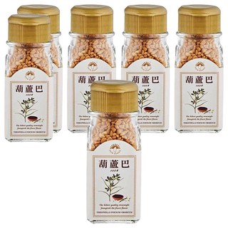 新光洋菜 葫蘆巴苦豆 46g (傳統養生茶飲、風味獨特、無添加), 6罐, 1罐