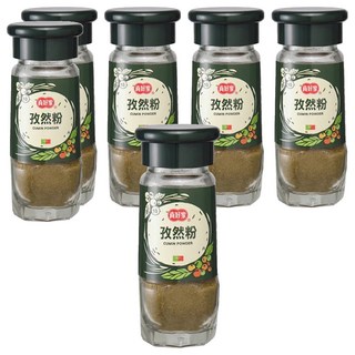 真好家 孜然粉 鑽石瓶 台灣出產, 26g, 6瓶