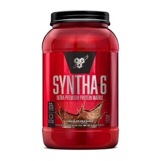 신타6 단백질 파우더 초코맛, 1.32kg, 1개