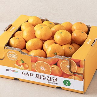 곰곰 GAP 제주 감귤, 5kg(대과), 1개