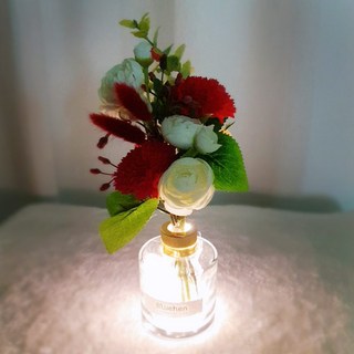 블뤼엔 비누꽃 카네이션n 메트로 무드등 세트, 레드