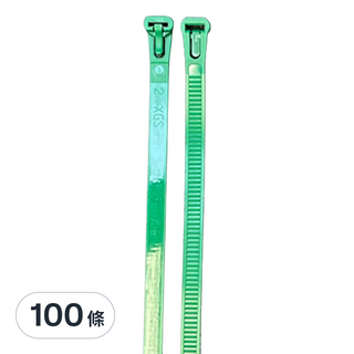 POLYWELL 寶利威爾 可鬆式束線帶 PW15-T65-0105, 100條, 綠色