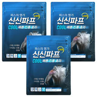 신신파스 신신파프 쿨 파스, 5개입, 3개