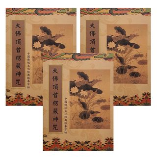 手抄楞嚴咒消除業障組 黃金抄經檀香金筆 牛皮紙封面 加厚道林紙內頁 尺寸約21*28.5cm, 黃色, 1組