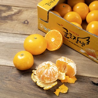 OnlyJeju 농협 진지향, 1.5kg, 1박스