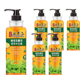 SOAPBERRY 古寶無患子 檸檬馬鞭草潔淨沐浴露 含PCA-NA保濕因子 深層滋潤 提升肌膚保水度 添加3D鎖水靈 持久保濕 Q彈滑潤 柔嫩, 750g, 6瓶