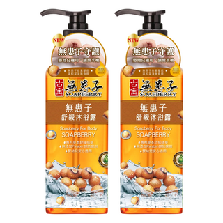 SOAPBERRY 古寶無患子 舒緩沐浴露 溫和配方 不流淚 不刺激 適合敏感肌膚 嬰幼兒適用, 750g, 2瓶