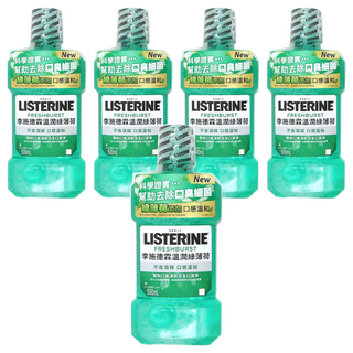 LISTERINE 李施德霖 溫潤綠薄荷漱口水, 抗菌防護 口腔清潔 無酒精配方 500ml, 溫潤綠薄荷, 5瓶
