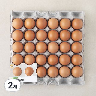 농협 신선 대란 1560g, 30구, 2개