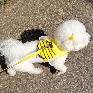 RESPET 狗狗蜜蜂胸背帶, 黃色