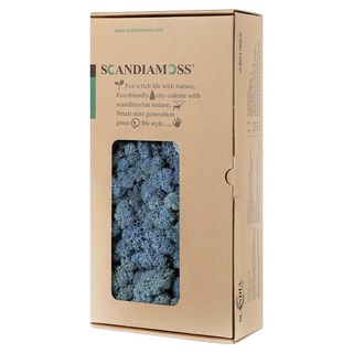 Scandiamoss 薰衣草藍苔蘚 RM500 500g, 1個