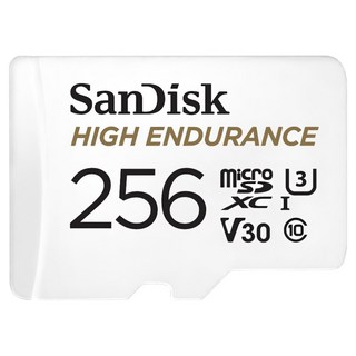 SanDisk 晟碟 公司貨 高耐寫度 microSD記憶卡, 256GB, 1個