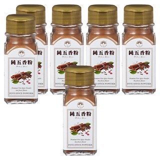 新光洋菜 五香粉 全素, 25g, 6瓶