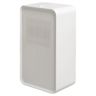 ROOMMI 最美輕量除濕機 濾網套組, 750ml日除濕量, 2L水箱容量, 40W超省電, 適用5~7坪, 白色, RMDH01