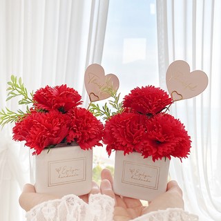 EPLYN 康乃馨香皂花可愛花盆 + 禮物盒 + 愛心卡 + 金色裝飾插牌, 紅色, 2個