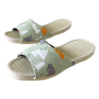 TAIWAN SLIPPER 台灣犀利趴 i Slippers 小時光 真草蓆室內拖鞋, XL, 動物之森 綠色, 1雙