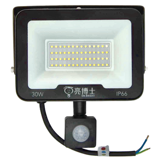 亮博士 Dr.Bright LED紅外線感應投光燈30W 白光6500K 超薄設計 節能省電 IP66防水, 1個
