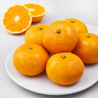 새벽경매 진지향, 800g, 1팩