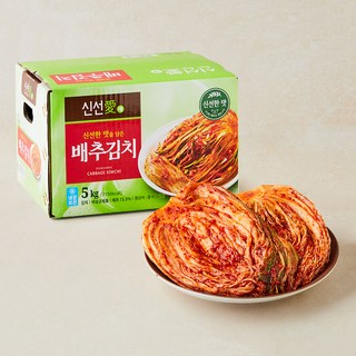 신선애 배추김치, 5kg, 1개