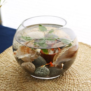 Glassco 玻璃圓形魚缸 小, 透明, 1個