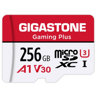 GIGASTONE 立達 遊戲專用記憶卡 A1 V30 U3, 256GB, 1個