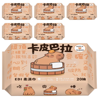 Smart Wipes 卡皮巴拉 EDI 超純水柔濕巾 20張, 1入, 6包