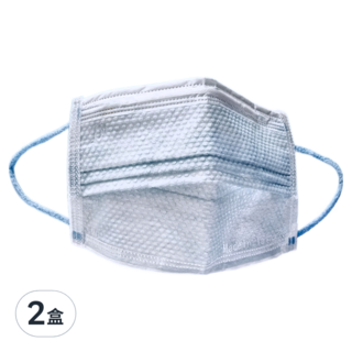 JUN 郡昱 成人平面泡泡紋醫療口罩 9.5 x 17.5cm, 50片, 夏雪草灰, 2盒