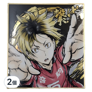 Haikyu 排球少年!! 激鬥!!閃亮色紙 孤爪研磨, 1色, 2個