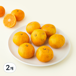 유기농 인증 감귤, 2개, 1.5kg(랜덤과)