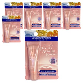 SENKA 專科 台灣公司貨 彈潤護唇精華, 無色無味, 10g, 6條