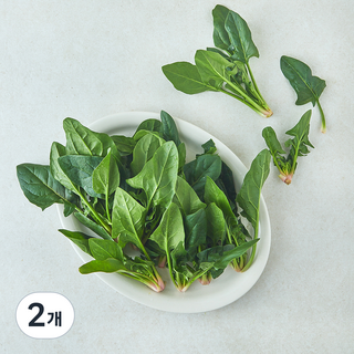 포항초 시금치, 2개, 200g
