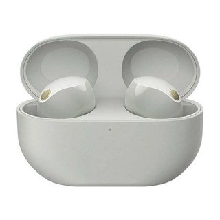 SONY 索尼無線主動降噪藍芽耳機 WF-1000XM5 卓越降噪 舒適佩戴, 鉑金銀