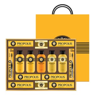 LG생활건강 선물세트 프로폴리스 A호 + 쇼핑백, 1세트