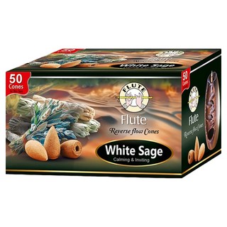 Flute 倒流香 50顆入 溫潤香氣, White Sage 白鼠尾草, 1盒