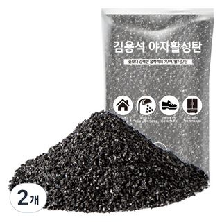 김용석생활연구소 야자활성탄 공기정화 실내 탈취제 본품, 1kg, 2개