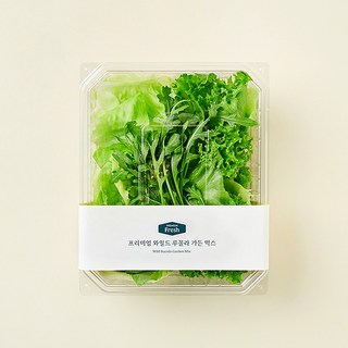 프리미엄 와일드 루꼴라 가든 믹스, 100g, 1개입, 1개