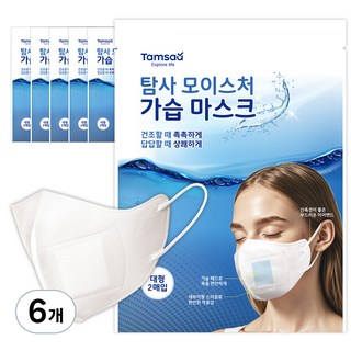 탐사 모이스처 가습 마스크 대형, 화이트, 6개, 2매입