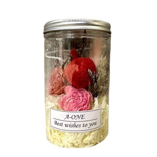 A-ONE 粉焦糖索拉玫瑰花 紅色繡球花 永生乾燥花罐 O款 乾燥花藝 居家擺飾, 彩色