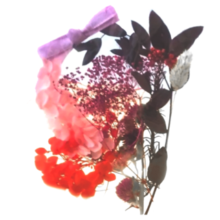 A-ONE 匯旺 浮游花DIY花材包, 天然植物乾燥花，含佳納利、粉色安娜繡球花、紅色迷你滿天星等，尺寸12x12cm, 紫夜微光彩色