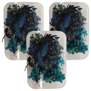 A-ONE 匯旺乾燥花 A04 3入, 孔雀藍天