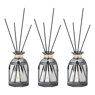 美國Pavaruni光影系列擴香瓶 居家香氛擺飾, 梵谷星空, 120ml, 3件