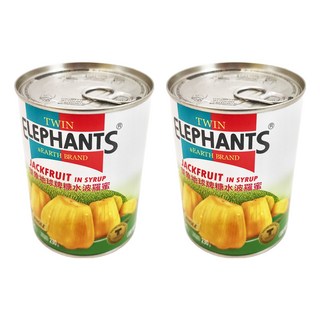 TWIN ELEPHANTS 雙象地球牌 糖水波羅蜜 無添加防腐劑, 565g, 2罐