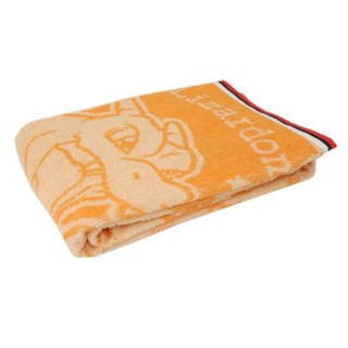 PoKeMoN 寶可夢 大浴巾 120 x 60cm, 噴火龍, 1條