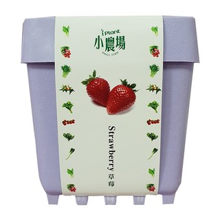 iPlant 積木農場盆栽, 草莓, 12 x 12 x 13.5cm