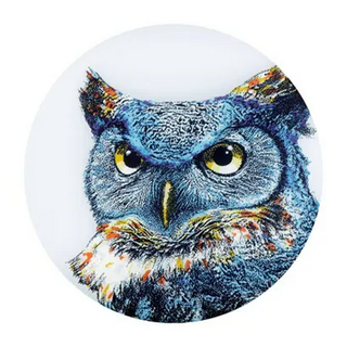 Waboba 軟式LED發光飛盤, 15.2公分, 適合年齡：6歲以上, 貓頭鷹/月球/幽浮, 1個