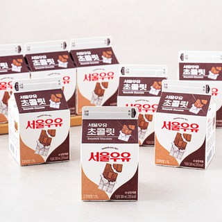 서울우유 초콜릿, 300ml, 8개