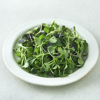 유기농 베이비채소, 1개, 100g