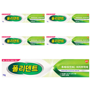 폴리덴트 후레쉬 민트 의치 부착재 70g, 1개입, 5개
