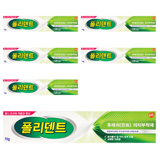 폴리덴트 후레쉬 민트 의치 부착재 70g, 1개입, 6개