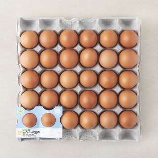 목계촌 특란, 30구, 1개